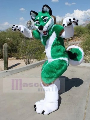 Chien costume de mascotte