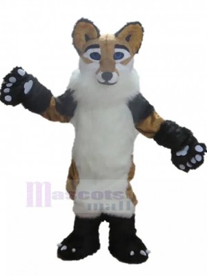 Chien costume de mascotte