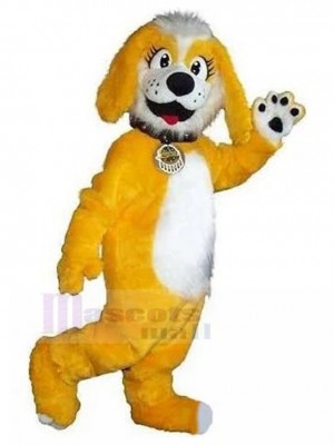 Chien costume de mascotte