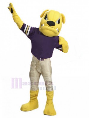 Chien costume de mascotte
