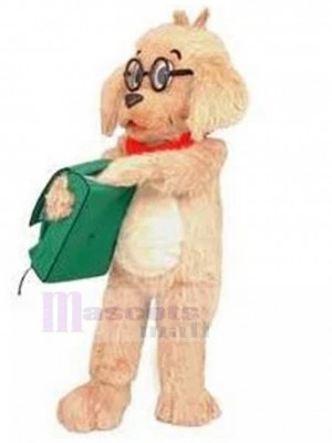 Chien costume de mascotte