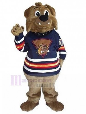 Chien costume de mascotte