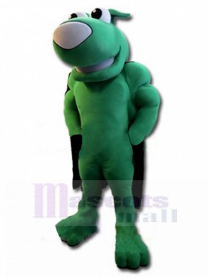 Chien costume de mascotte