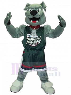 Chien costume de mascotte