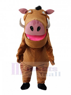 Sanglier costume de mascotte