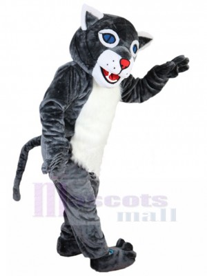 chat sauvage costume de mascotte