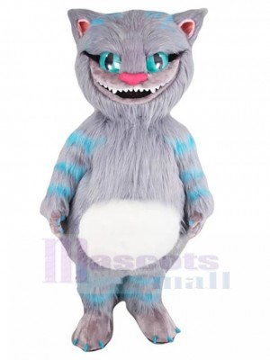 Chat costume de mascotte