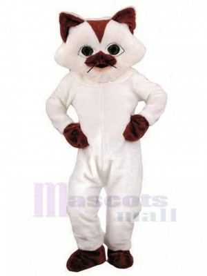 Chat costume de mascotte