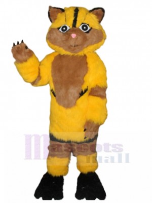 Chat costume de mascotte