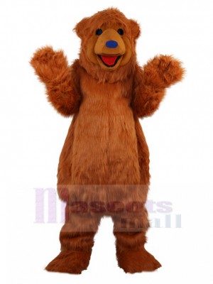 Ours costume de mascotte