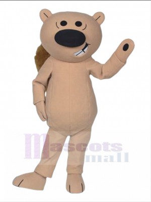 Écureuil costume de mascotte