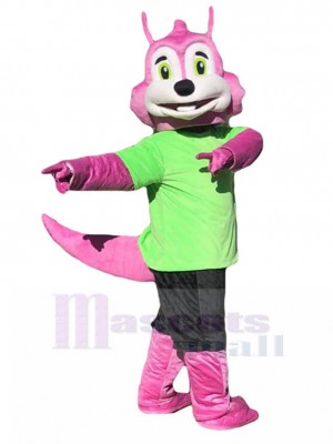 Écureuil costume de mascotte