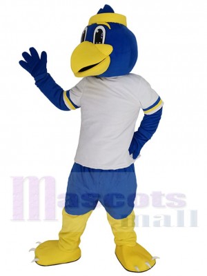 Oiseau costume de mascotte