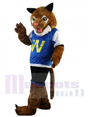 Tigre costume de mascotte