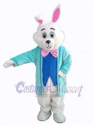Lapin de Pâques costume de mascotte