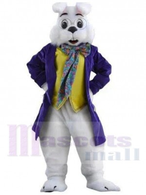 Wendell Lapin costume de mascotte