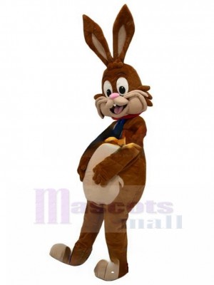 Lapin costume de mascotte