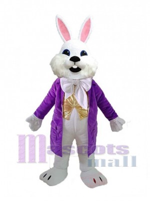 Lapin de Pâques costume de mascotte