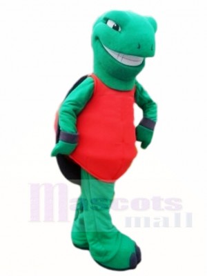 Vert Terrapin Tortue Tortue Mascotte Les costumes Mer