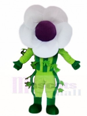 blanc Fleur Mascotte Les costumes Plante