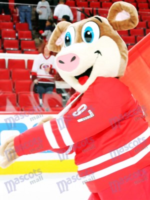 Costume de mascotte de glace Hurricanes Carolina Hurricanes