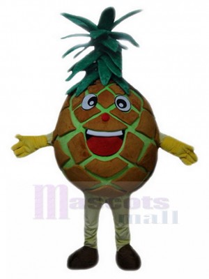 Ananas costume de mascotte
