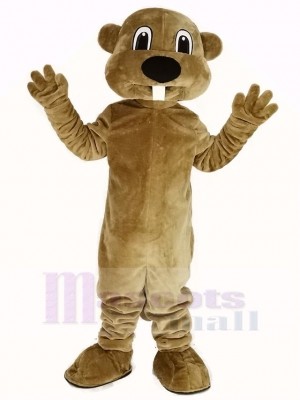 Alex la Castor Mascotte Costume Animal