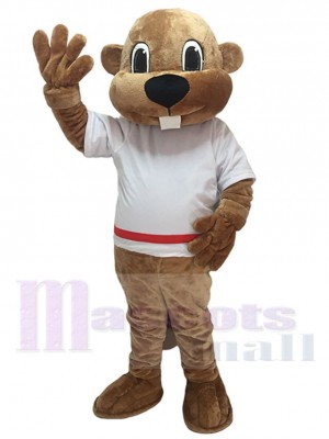 Costume de mascotte d'Alex le castor en chemise blanche Animal