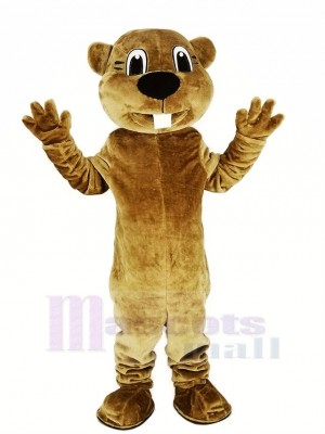 marron Castor Mascotte Costume Animal Adulte