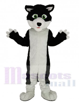 Noir et blanc Frontière Colley Chien avec Vert Yeux Mascotte Costume