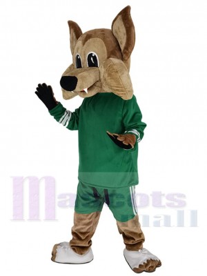 Coyote Loup costume de mascotte