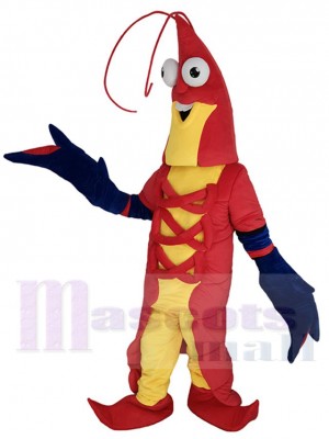 Crevette costume de mascotte