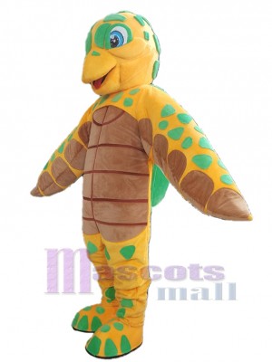 Tortue costume de mascotte