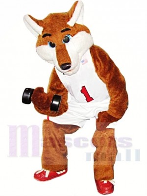 Basketball Sportif Renard Costume de mascotte