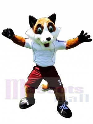 Haute qualité Renard de football Costume de mascotte