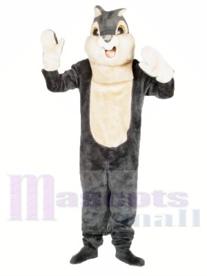 Écureuil gris mignon Costumes De Mascotte