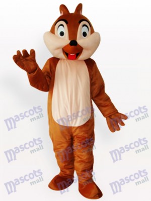 Costume drôle de mascotte d'animal de garçon d'écureuil d'adolescent