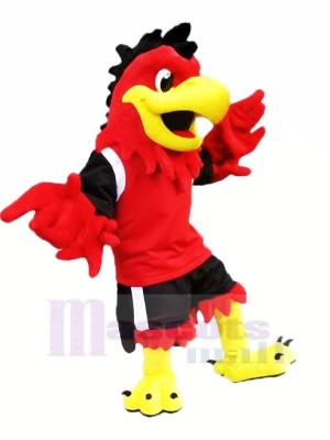 Rouge Cool Aigle Mascotte Les costumes Dessin animé