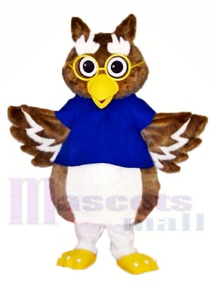 Mignonne Hibou Costumes De Mascotte