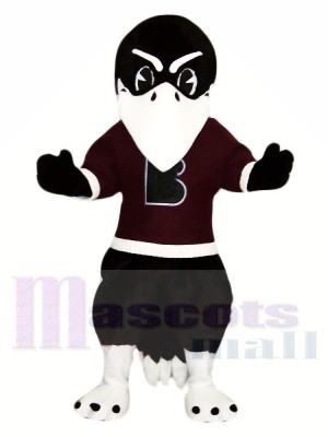 Noir Corbeau avec blanc les sourcils Mascotte Les costumes Animal