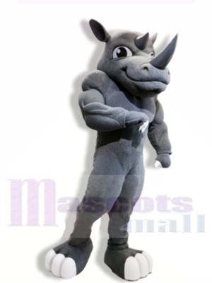 Puissance Rhinocéros Costumes De Mascotte