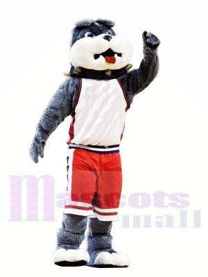 Mignonne Collège Bulldog Costumes De Mascotte