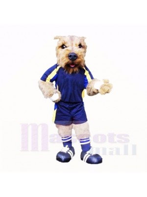 Football Chien Avec Bleu T-shirt Costumes De Mascotte École