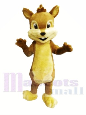 Chipmunk Furry mignon Costumes De Mascotte