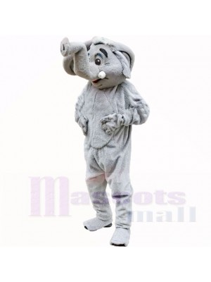 Gris l'éléphant Costumes De Mascotte Adulte