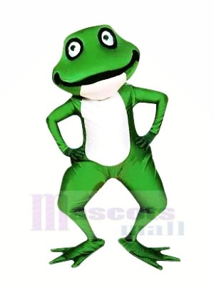 réaliste vert grenouille mascotte costumes dessin animé