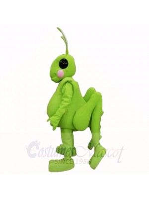 Sauterelle Costumes De Mascotte Dessin animé