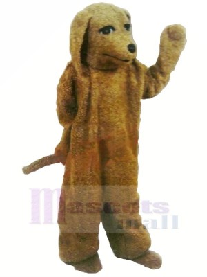 marron Caniche Chien Mascotte Les costumes Adulte
