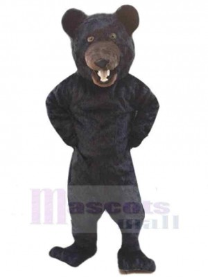 Ours costume de mascotte