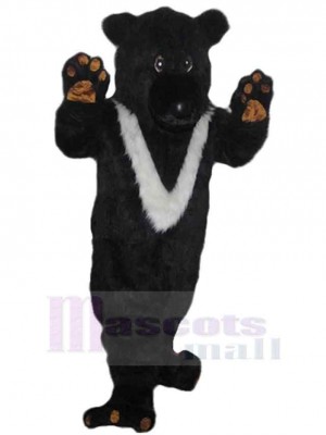 Ours costume de mascotte